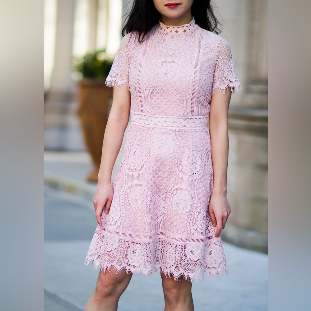 BB Dakota fit and lace dress
